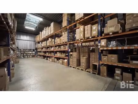 vente entrepôt blanquefort 33290
