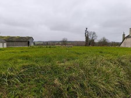 vente terrain au crouais (35290) : à vendre / 1000m² le crouais