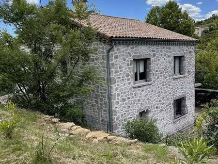 maison de vacances - au calme - piscine privative à l'abri des regards. terrain en terrass
