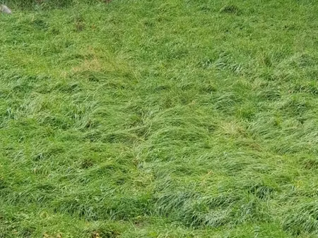 terrain à vendre mirecourt 917m2 25 500€