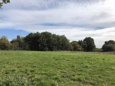 vente terrain à écuillé (49460) : à vendre / 660m² écuillé