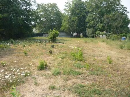 vente terrain à sarrigné (49800) : à vendre / 1496m² sarrigné