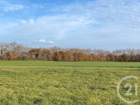 terrain à vendre - 716 m2 - montesquieu lauragais - 31 - midi-pyrenees