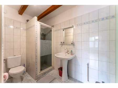 vente maison 9 pièces 187 m² brizambourg (17770)