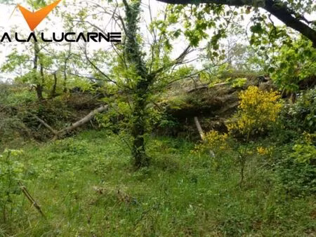 vente terrain guémené-penfao 44290 - 110000 € - surface privée