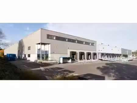 commercieel te huur in ternat
