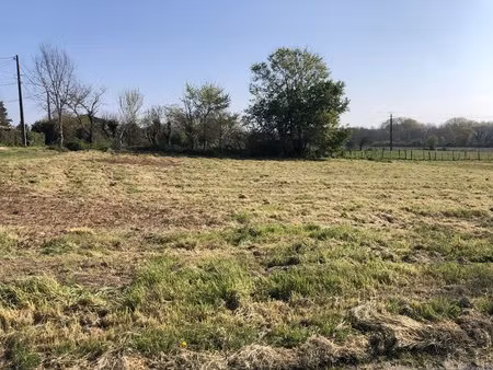 terrain constructible