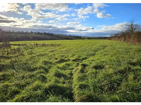 vente terrain constructible 1500m² a 15min au nord d'ancenis