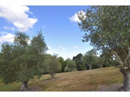 annonce terrain à vendre