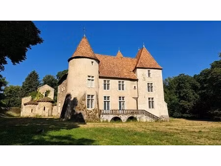 château à vendre à saint-quintin-sur-sioule