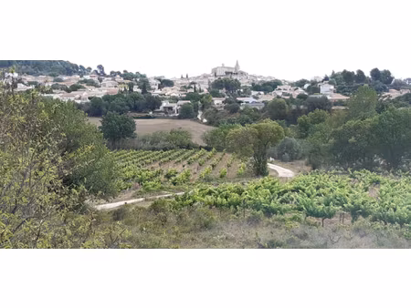 parcelles agricoles murviel les béziers