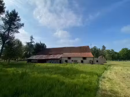 ferme  charme  grange  nature  bois  longère à renover  1 6