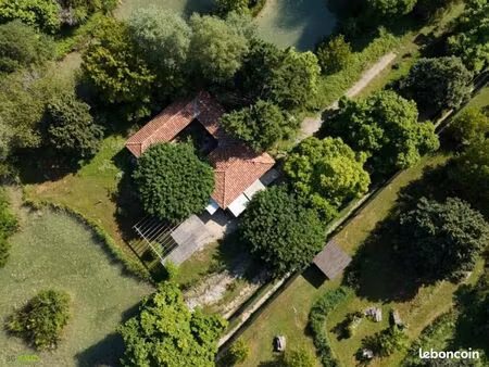 local commercial 100 m²