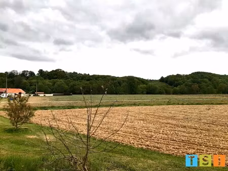 terrain constructible