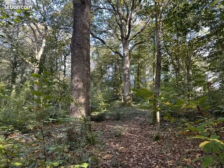 terrain 338328 m² boissise-le-roi