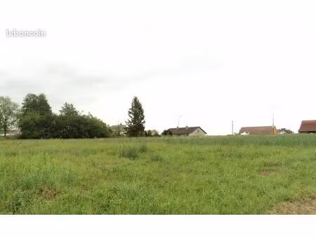 unique : terrain const 11 000m2 louhans intra muros