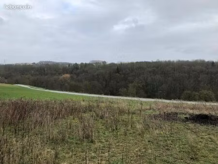 terrain 1103 m² schwerdorff