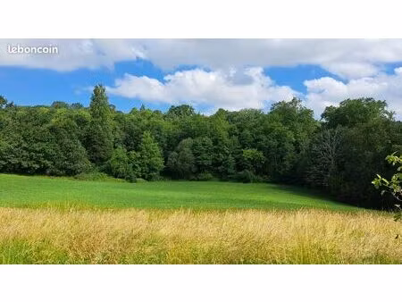 terrain avec vue sur la forêt
