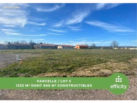 terrain 1 233 m² chambeon