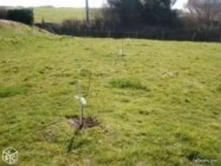 terrain constructible