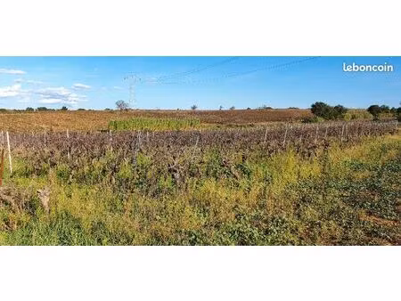 terrain agricole vente ou location