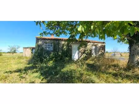 vente maison au pallet (44330) : à vendre / 55m² le pallet
