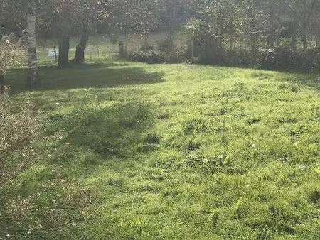 terrain constructible