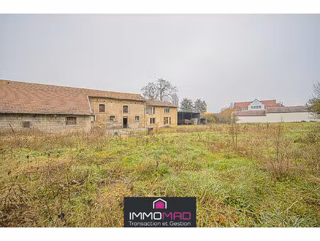 vente maison 10 pièces 192 m² conflans-en-jarnisy (54800)