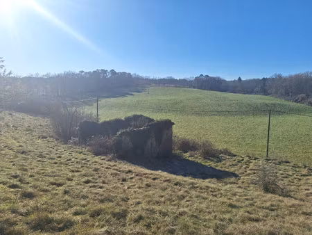 terrain avec sa ruine