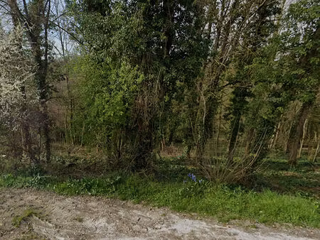 terrain constructible de 1676 m² à fontaine-le-port ? emplacement privilégié