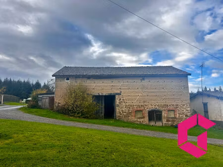 grange à rénover avec terrain.