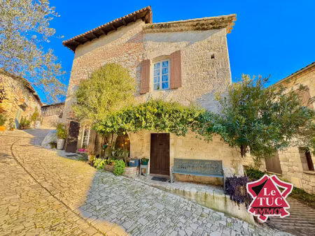 vente maison 8 pièces 308 m² penne-d'agenais (47140)