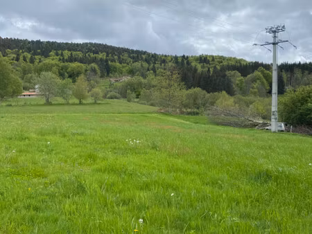 terrain constructible