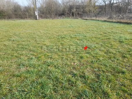 terrain constructible