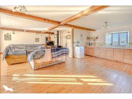 vente maison 7 pièces 183 m² champagnac-la-rivière (87150)