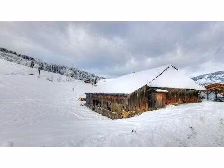 vente maison morzine (74110)