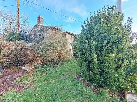 vente maison à mauges-sur-loire (49620) : à vendre / 20m² mauges-sur-loire