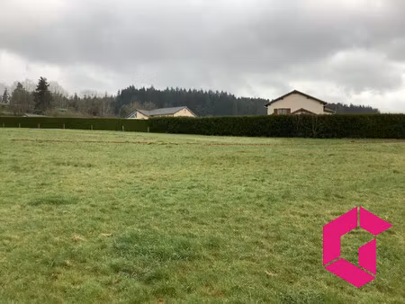 terrain à vendre tence