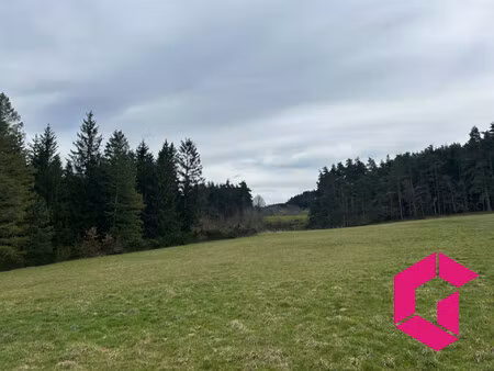 terrain constructible dans un cadre champêtre