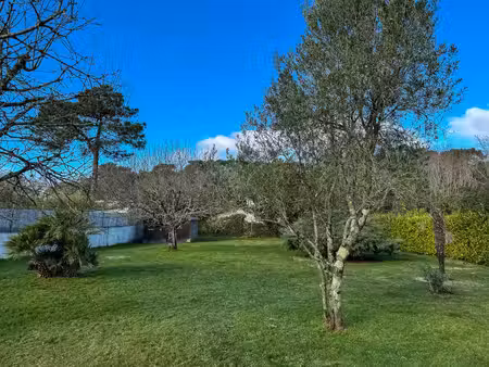 vente terrain saint-palais-sur-mer (17420) - - surface privée