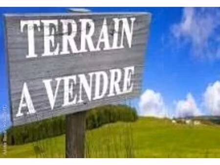 belle vue -libre constructeur