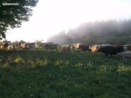 exploitation agricole