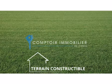 terrain constructible de 4282 m2 aleria