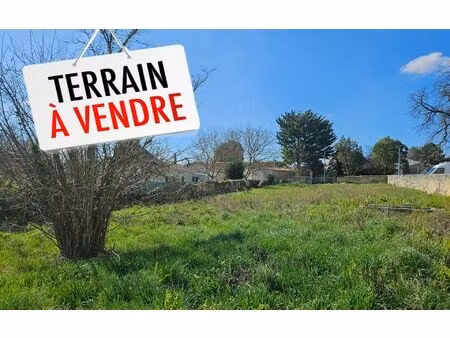 terrain mazeray m² t- à vendre  19 200 €