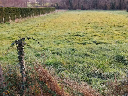 terrain castillon la bataille 1424 m2