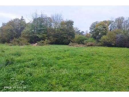 vente maison naves (19460)