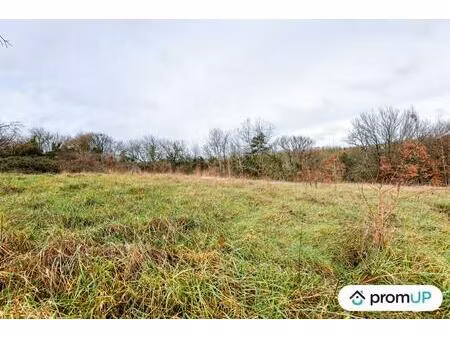 vente terrain 1024 m² vindelle (16430)