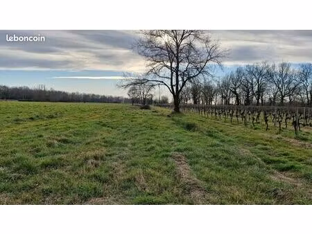 location terre agricole