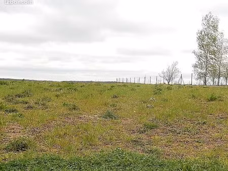 terrain reignac sur indre