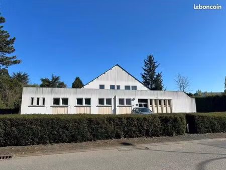 commerce professions libérales chateaubriant